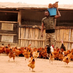 Kinanga Ruphin Murda, L’éco-ferme de Kamou